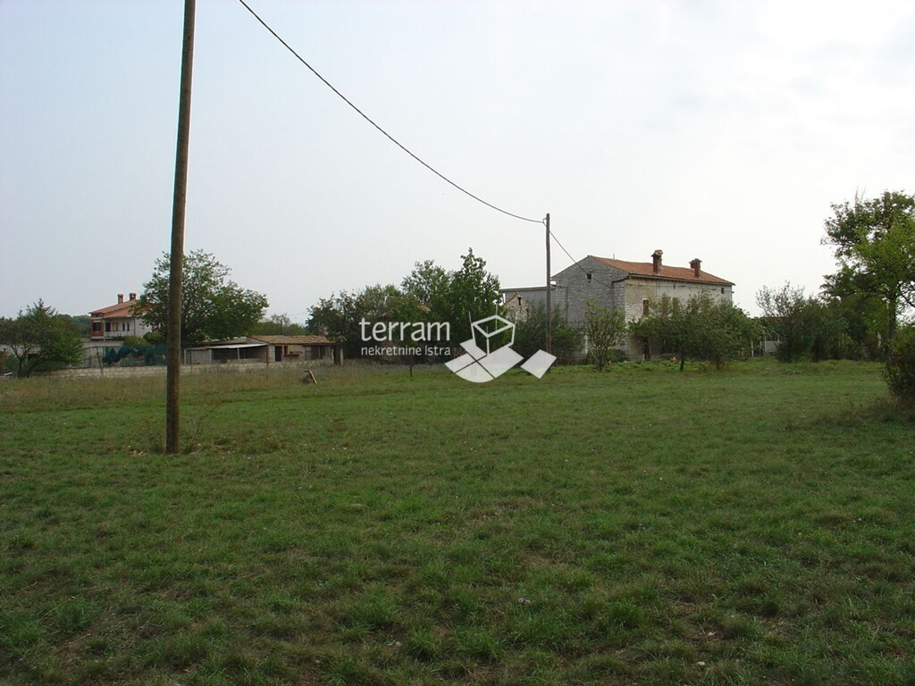 Image 6222036 - 7