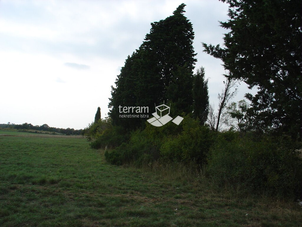 Image 6222036 - 8