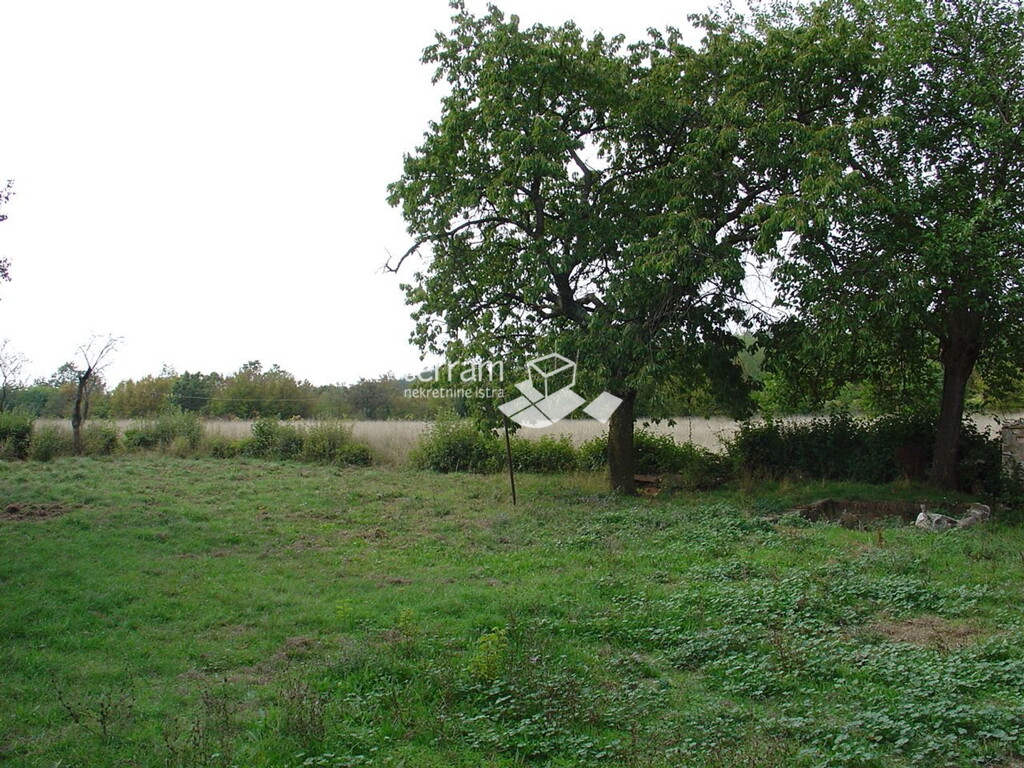 Image 6222036 - 6