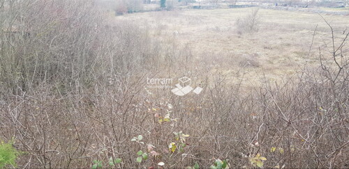Thumbnail 6222037 - 2