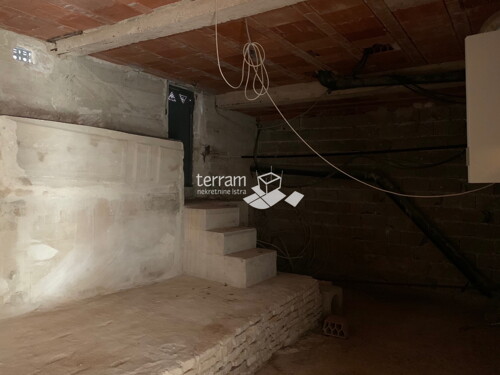 Thumbnail 6222048 - 4