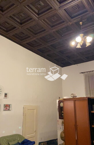 Thumbnail 6222049 - 5