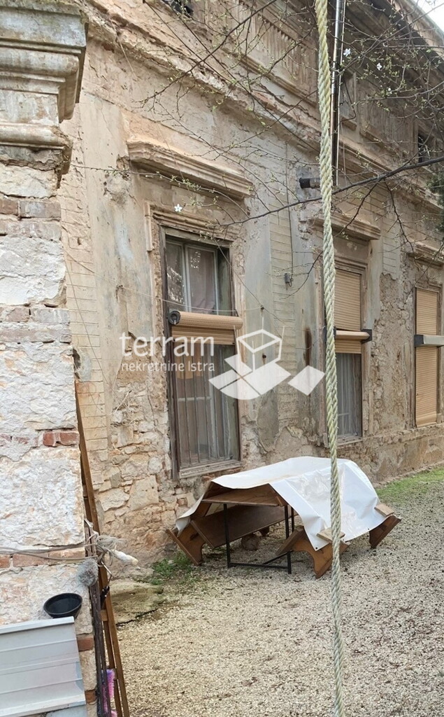 Image 6222049 - 3