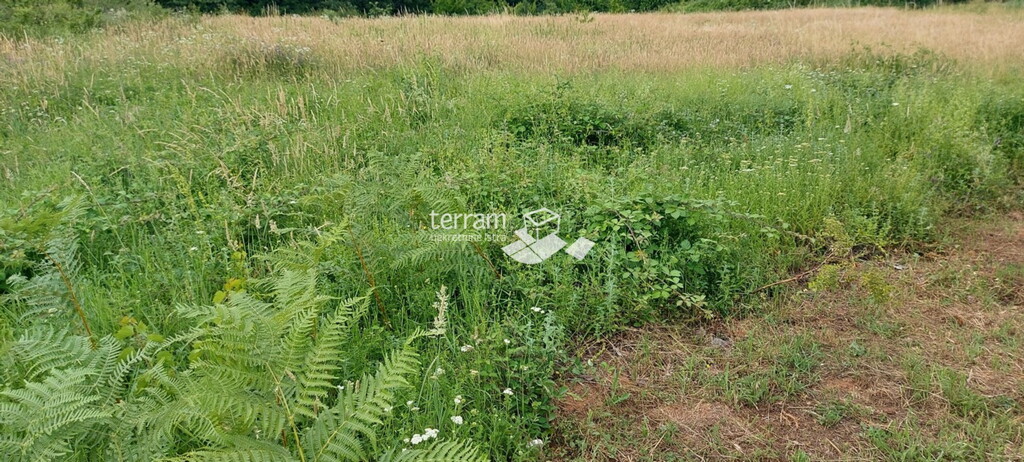 Image 6222050 - 3