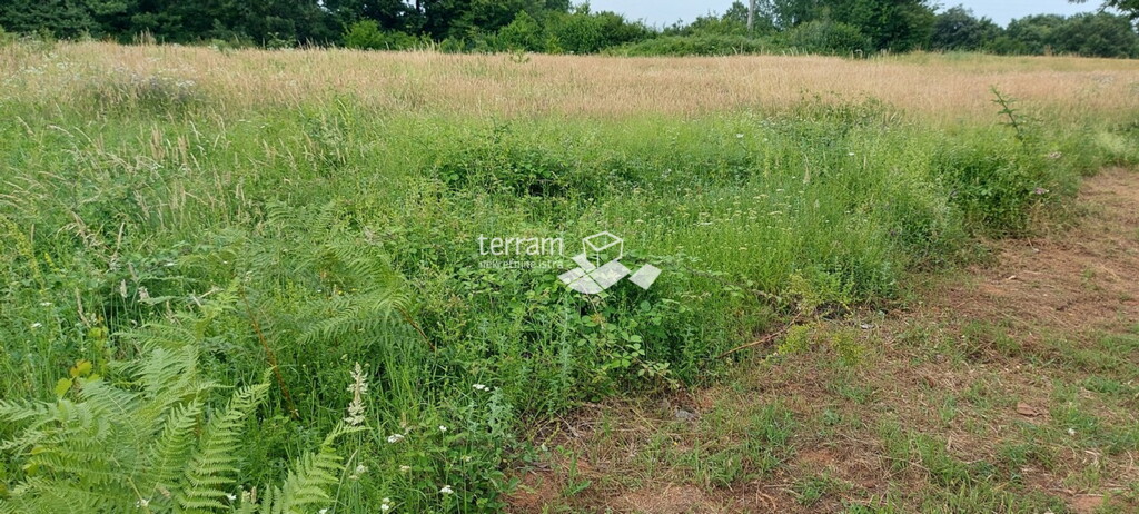 Image 6222050 - 1