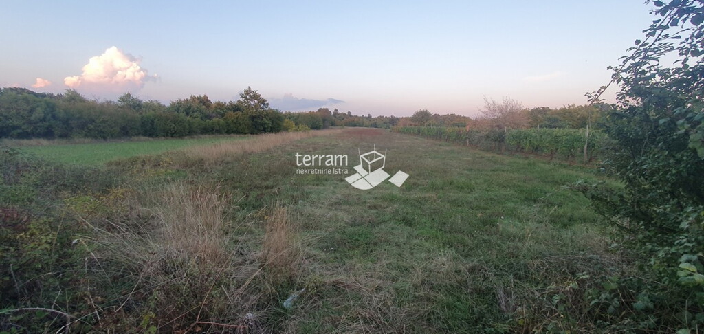 Image 6222056 - 2