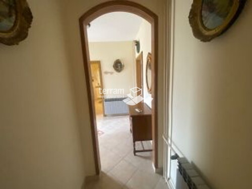 Thumbnail 6222059 - 12
