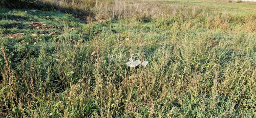 Thumbnail 6222063 - 1