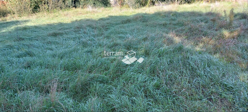 Image 6222064 - 3