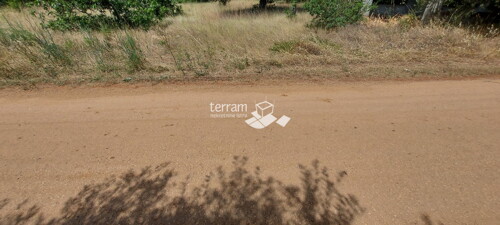 Thumbnail 6222068 - 4