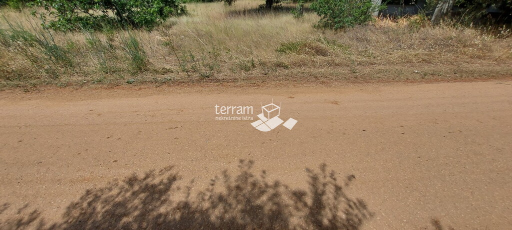 Image 6222068 - 4