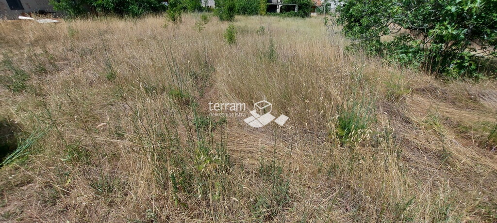 Image 6222068 - 3