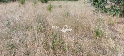 Thumbnail 6222068 - 2