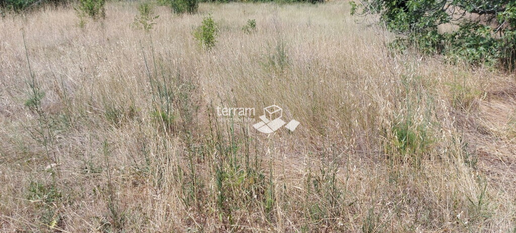 Image 6222068 - 2
