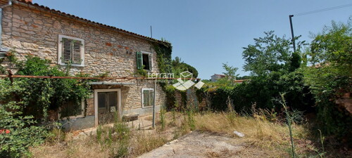 Thumbnail 6222068 - 1