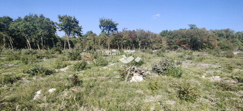 Thumbnail 6222069 - 2