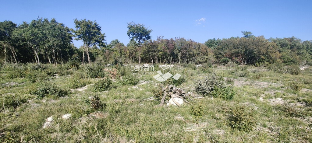 Image 6222069 - 2