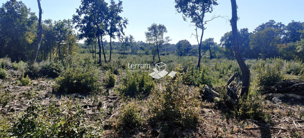 Image 6222069 - 3