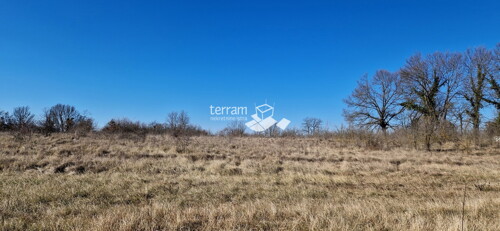 Thumbnail 6222075 - 2