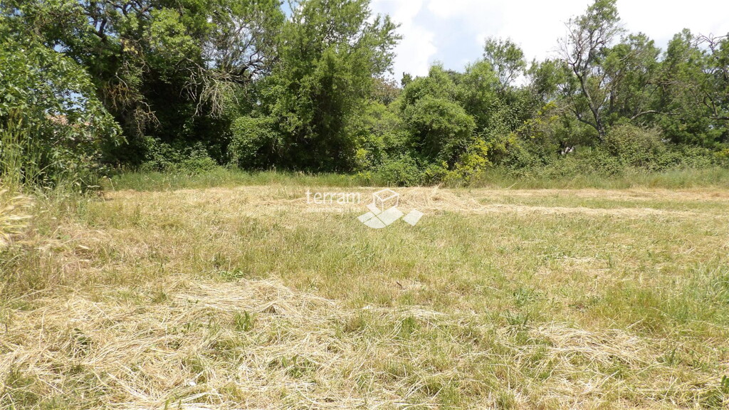 Image 6222076 - 1