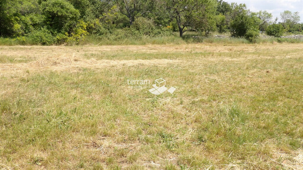 Image 6222076 - 3