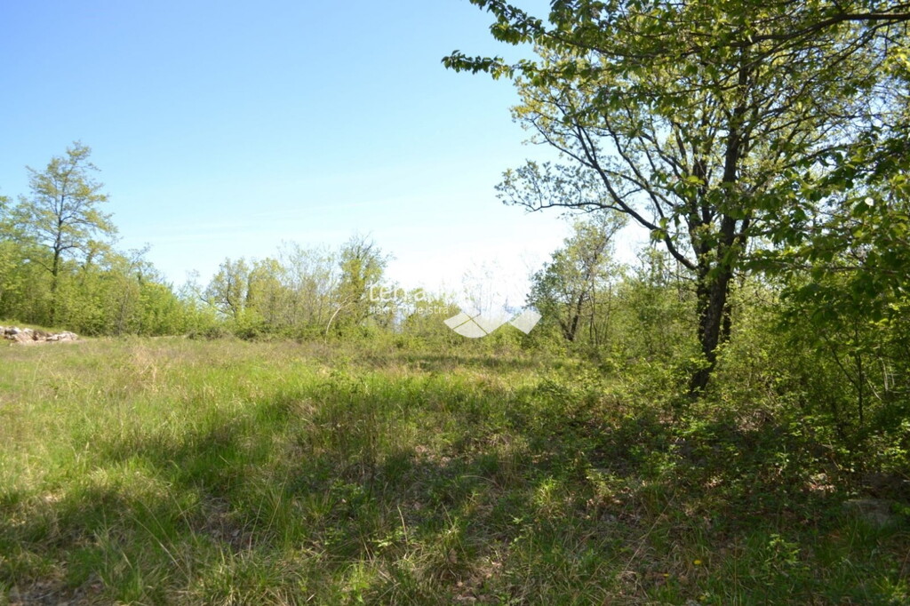 Image 6222079 - 1
