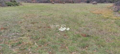 Thumbnail 6222082 - 4