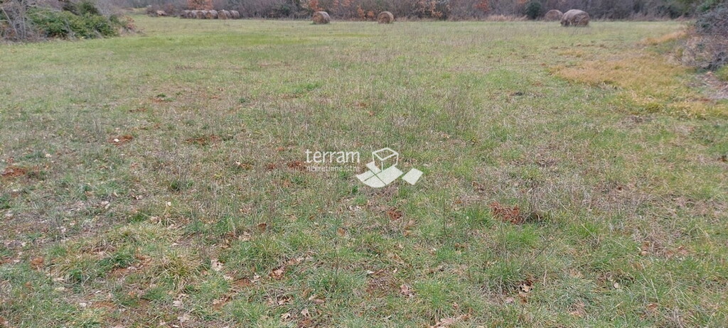 Image 6222082 - 4