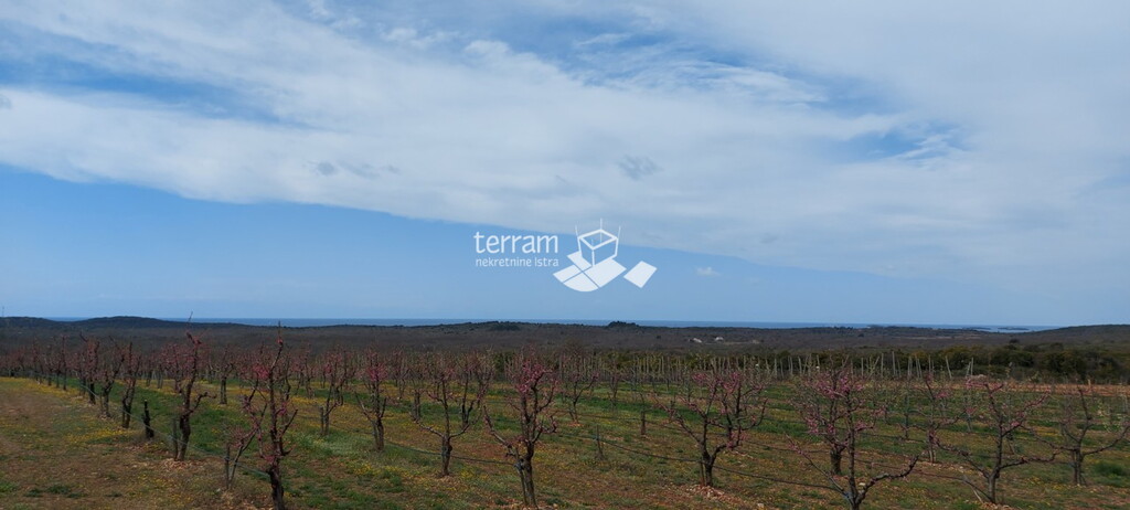 Image 6222083 - 5