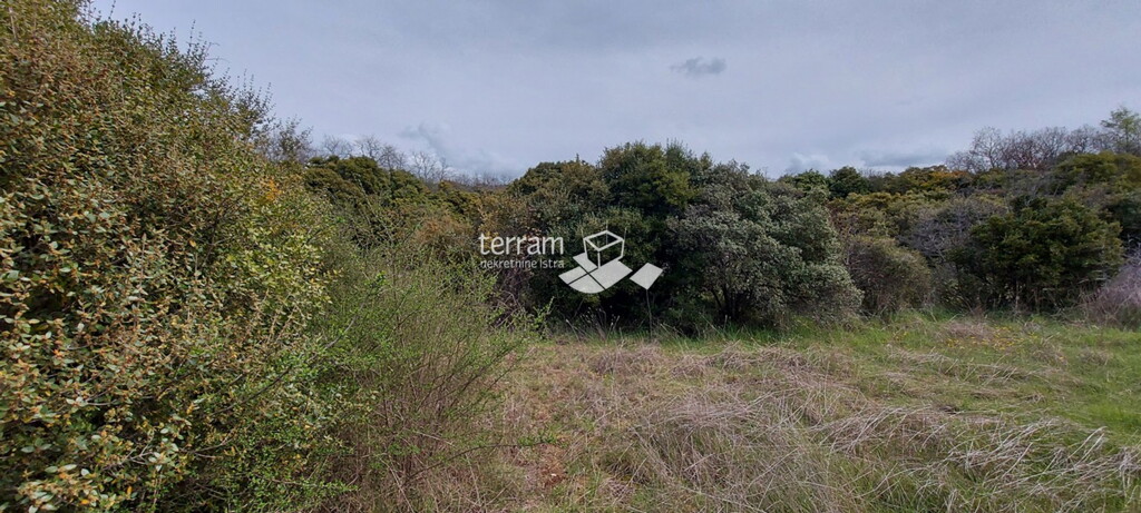 Image 6222083 - 3