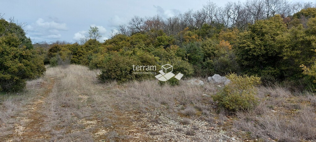 Image 6222083 - 2