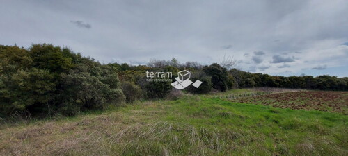 Thumbnail 6222083 - 4