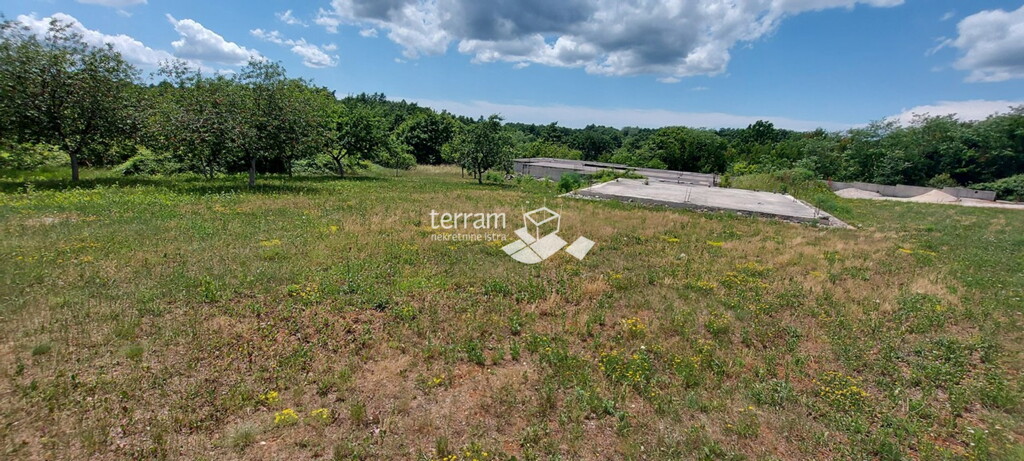 Image 6222084 - 10