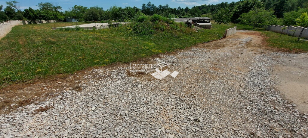 Image 6222084 - 13