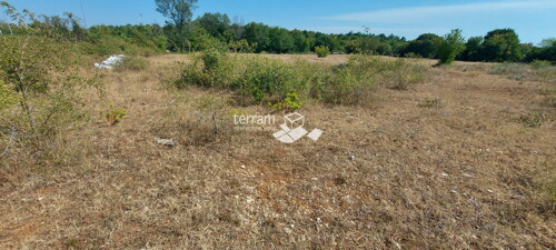 Thumbnail 6222086 - 2