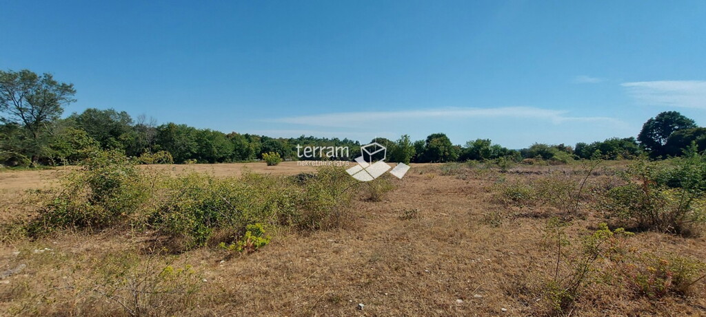Image 6222086 - 1