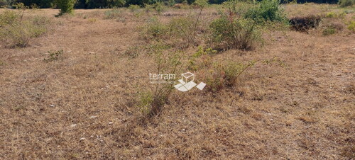 Thumbnail 6222086 - 3