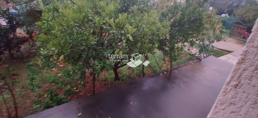 Image 6222087 - 8
