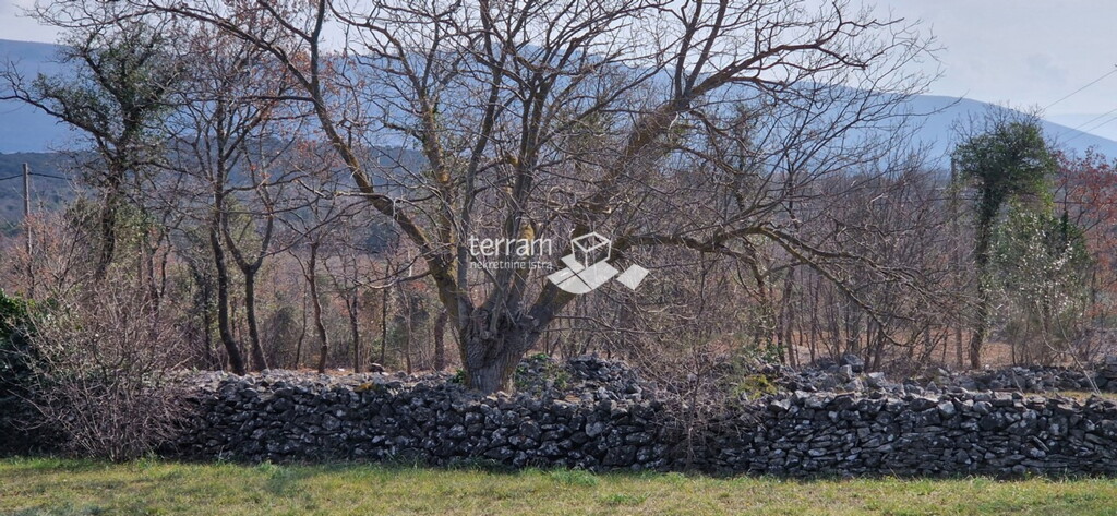 Image 6222091 - 1