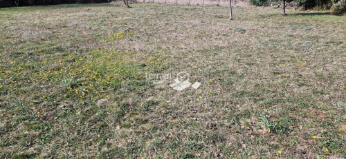Thumbnail 6222091 - 2