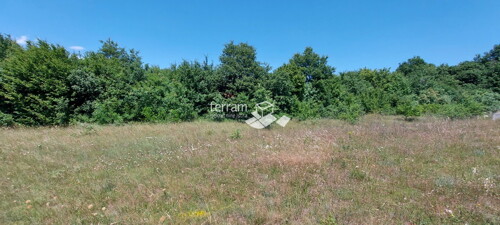Thumbnail 6222094 - 3