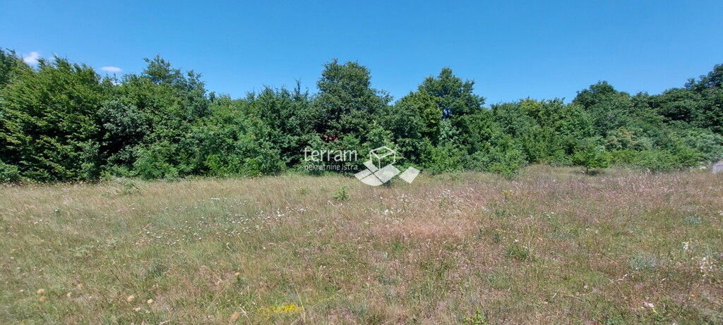 Image 6222094 - 3