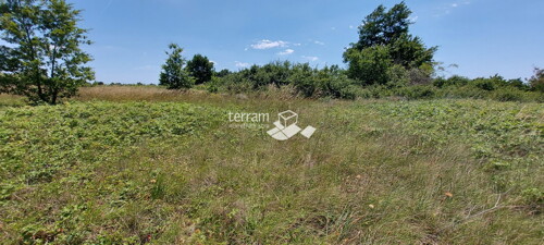 Thumbnail 6222094 - 1