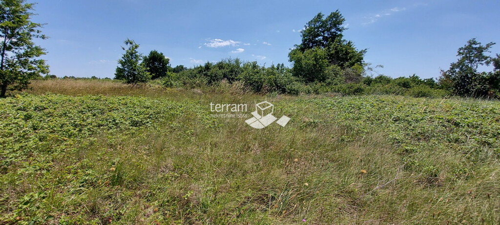 Image 6222094 - 4
