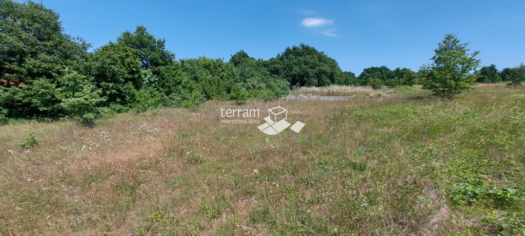 Image 6222094 - 2