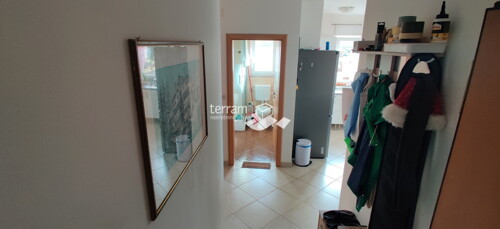 Thumbnail 6222096 - 5