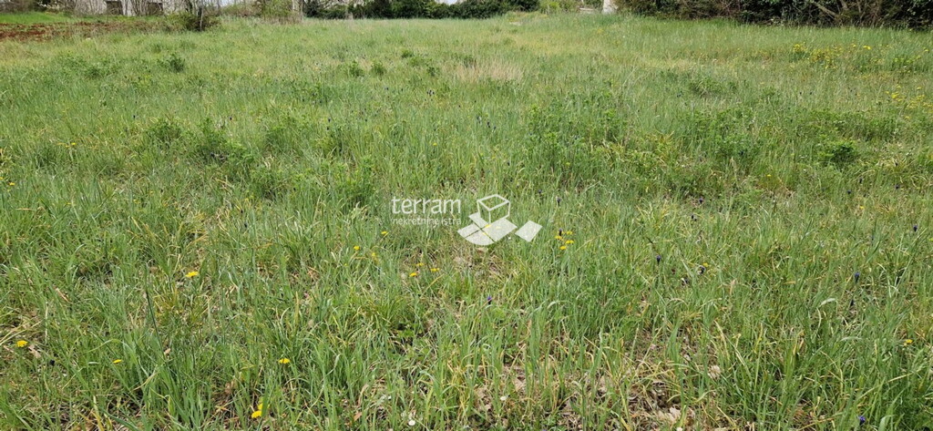 Image 6222097 - 4