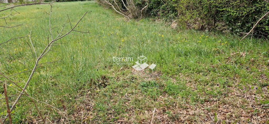 Image 6222097 - 2
