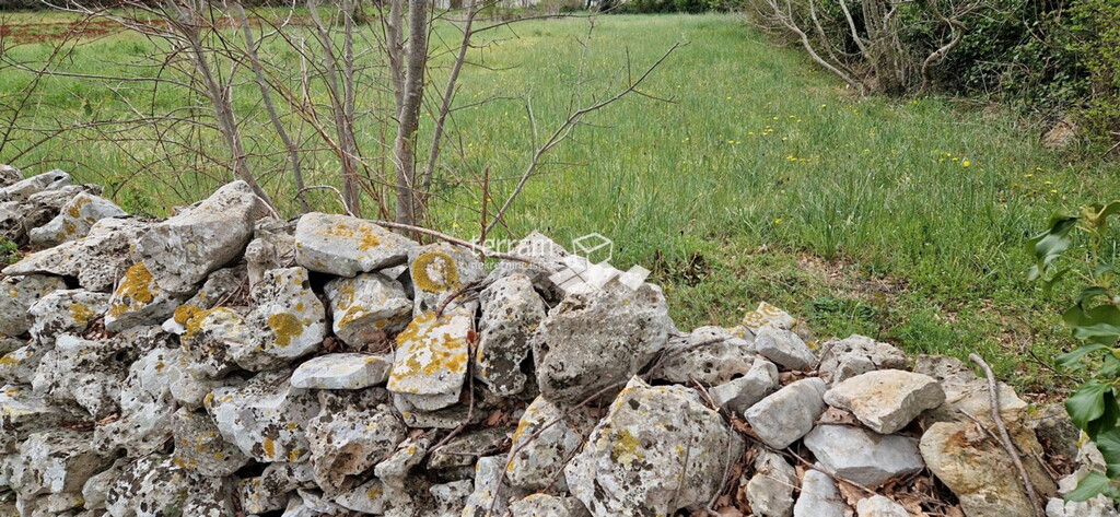Image 6222097 - 1