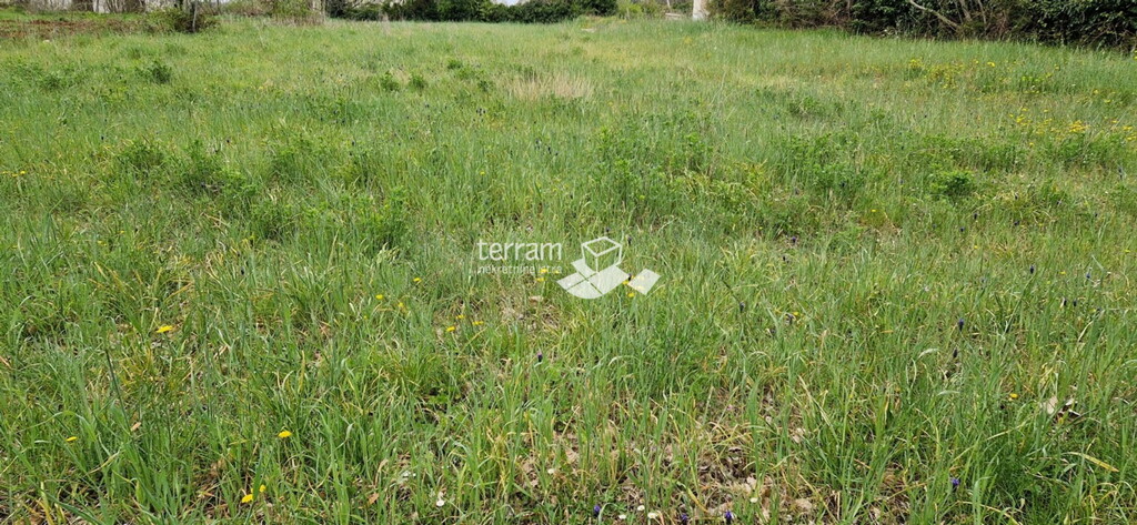 Image 6222097 - 3